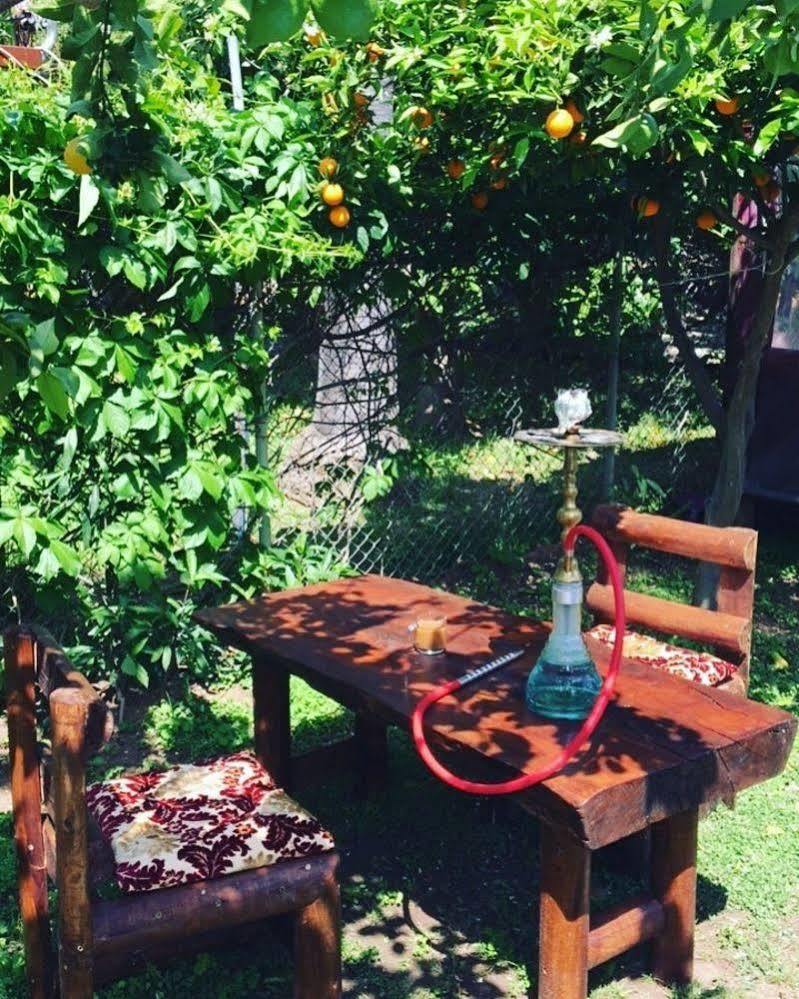 Alican Pension Çıralı Exterior foto